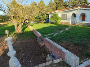villa eloisa